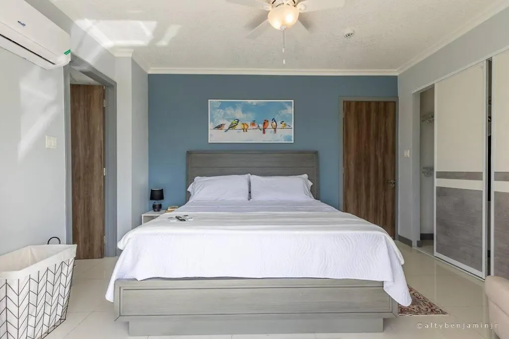 Modern Luxury Apartment In New Kingston Jamaica